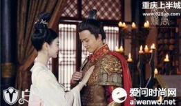 免费在线观看大唐荣耀,宫廷风云，爱恨交织的传奇人生